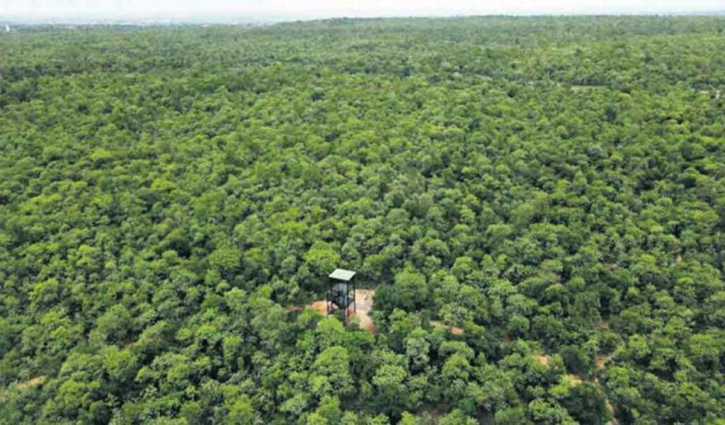 green budget in telangana