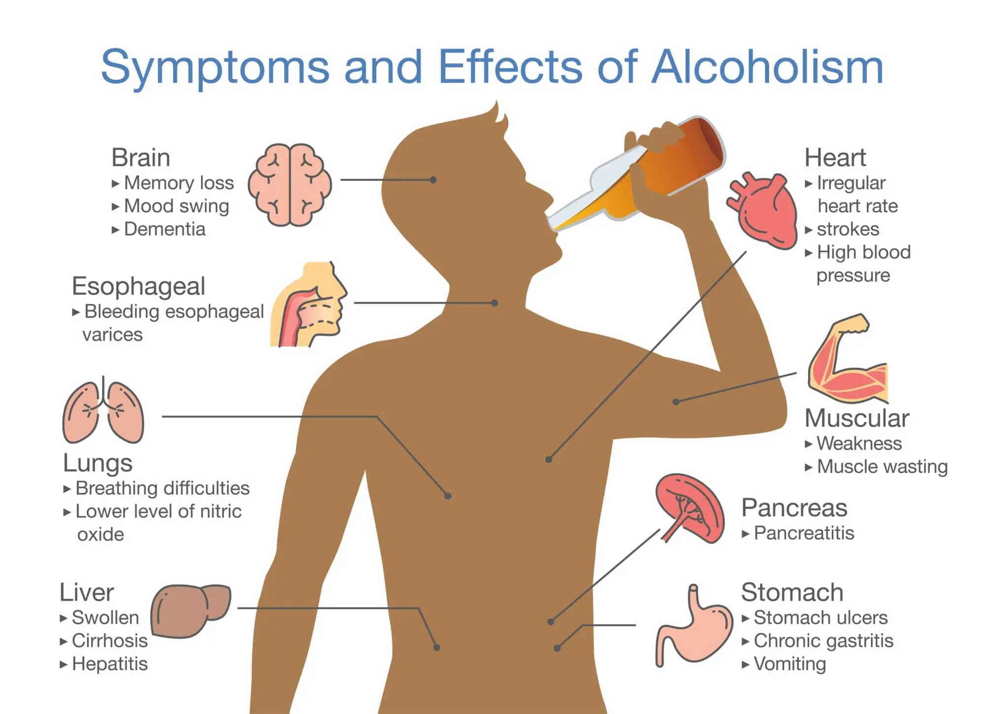 effects of alcohol on human body