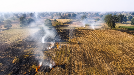 Mancherial Stubble Burning Raises Air Pollution Concerns in Telangana Burnt farmland with distant figures and smoke