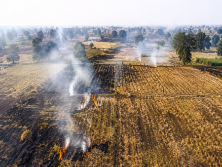 Burnt farmland with distant figures and smoke
